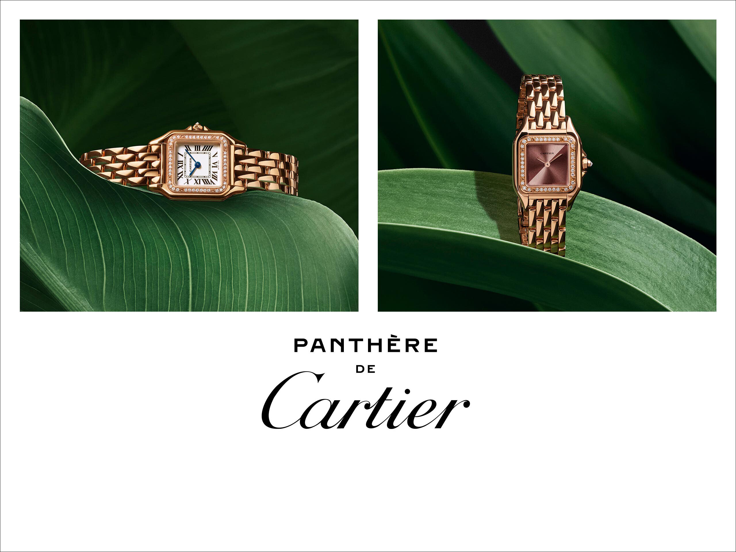 https://www.jarlsandin.se/pub_docs/files/Cartier-PANTHERE-2560x1920.jpg