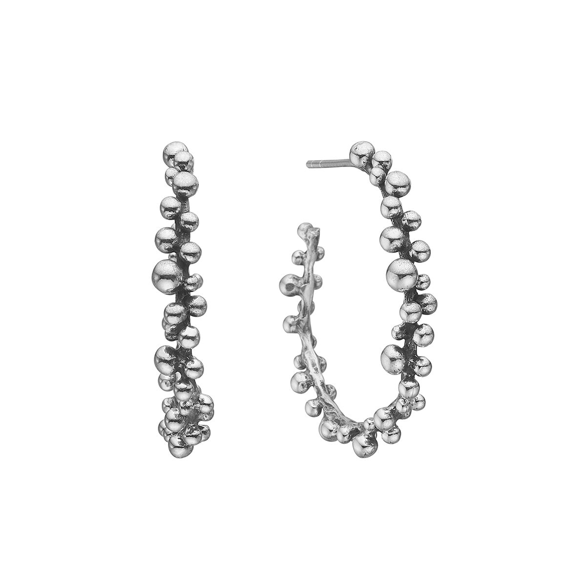 Rose buds silver creol
