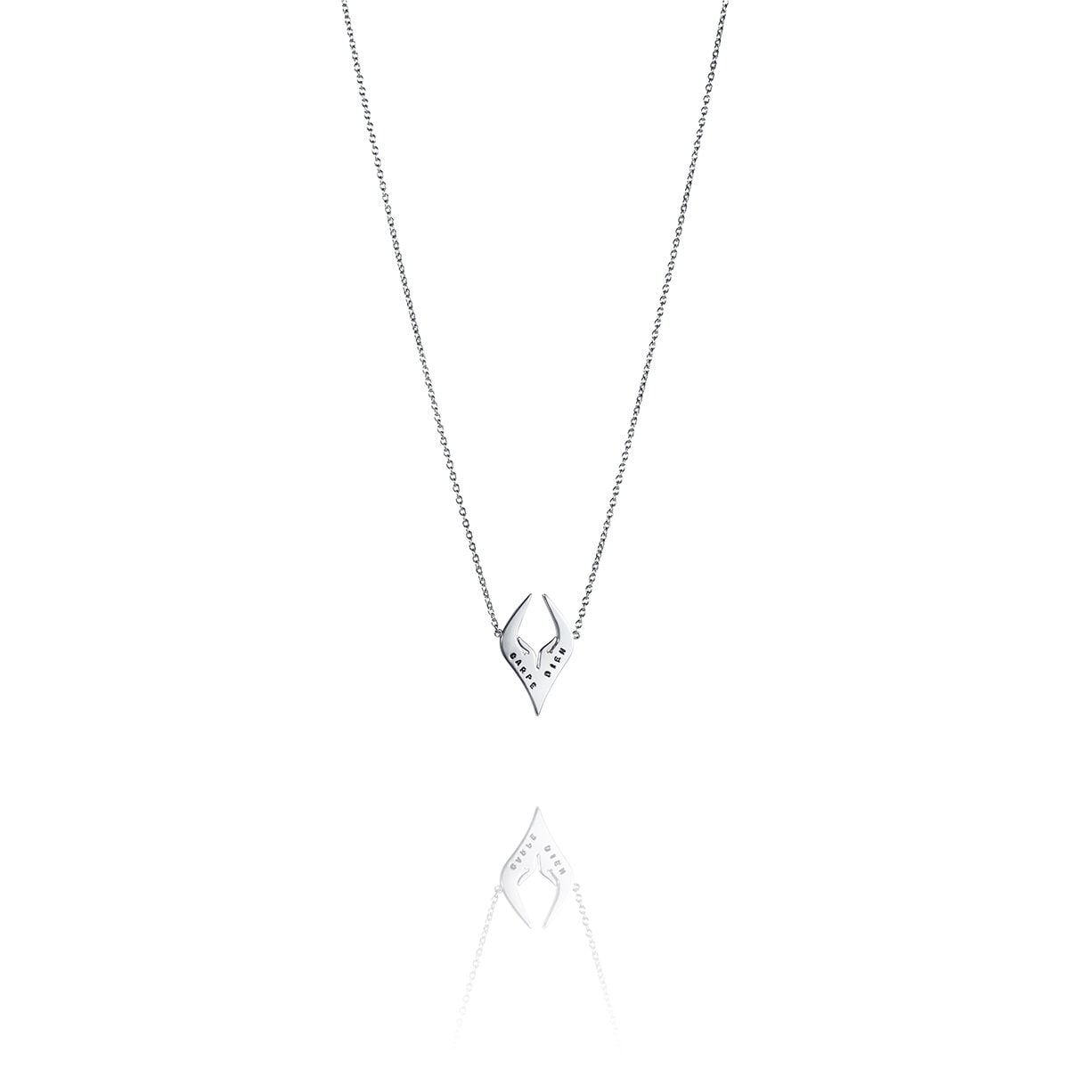 Carpe diem necklace