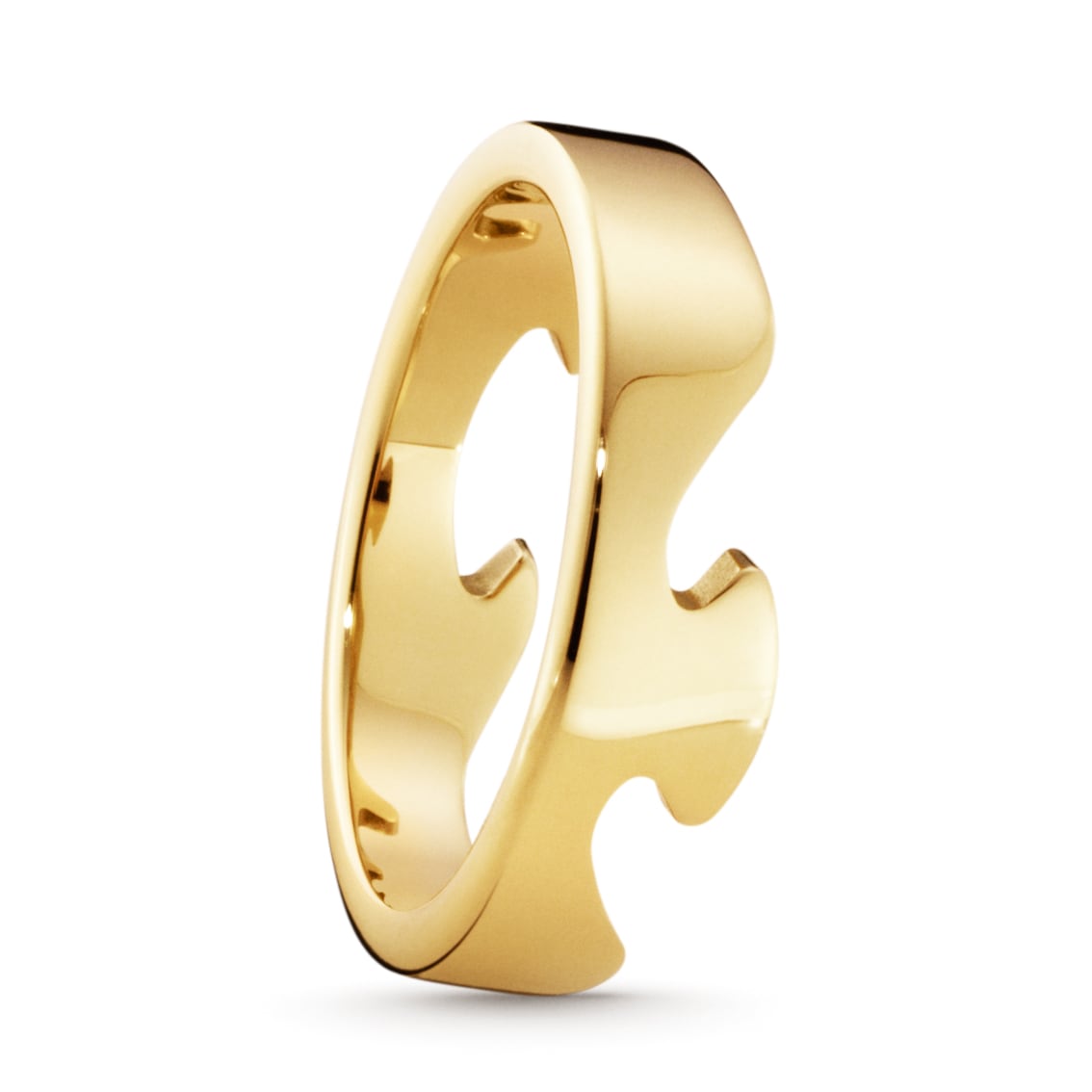 Fusion ytterring