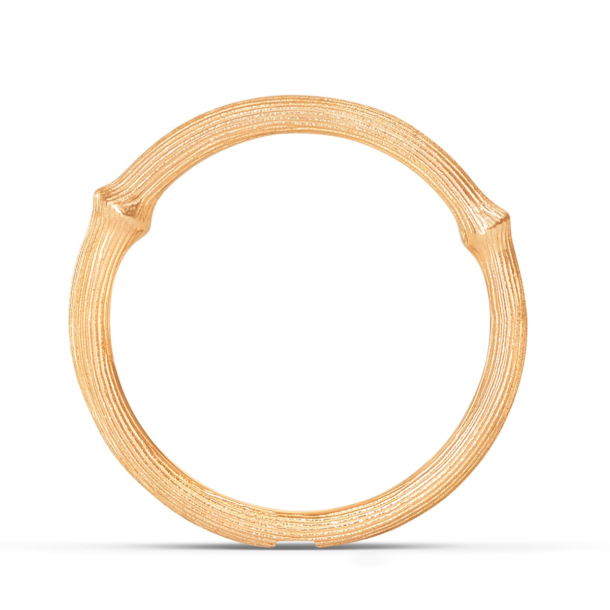 Nature_Ring_No1_A2680-401_V3