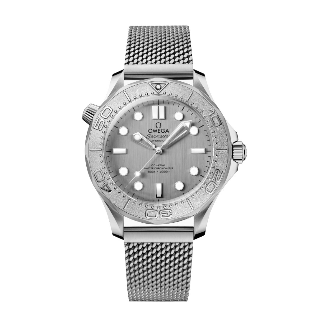 Seamaster Diver 300M