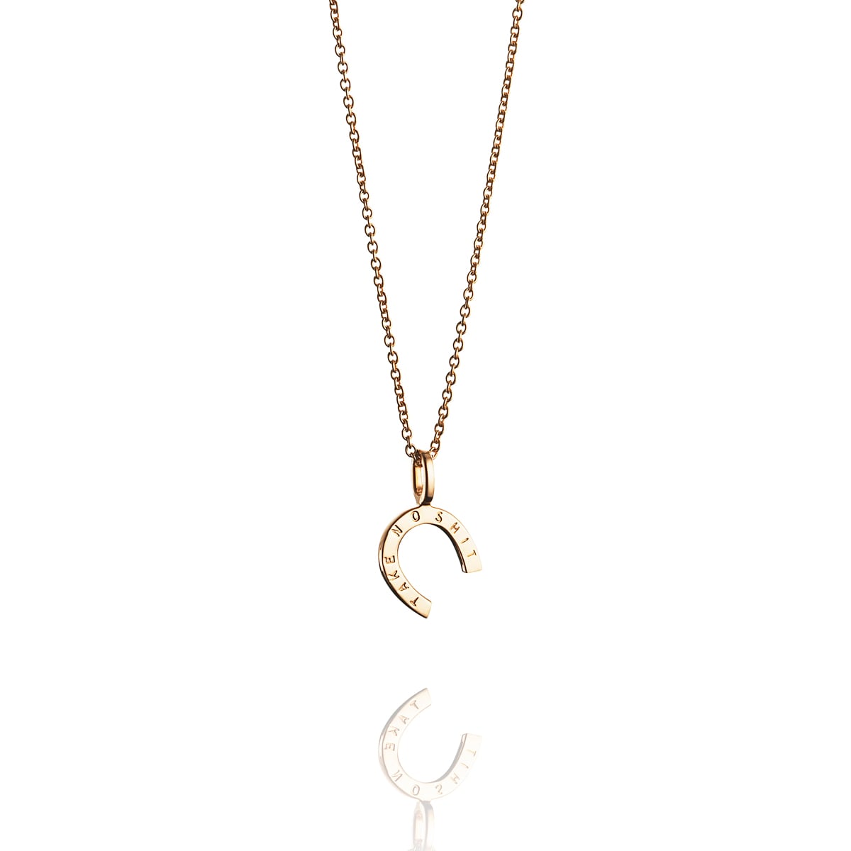 Take No Shit Pendant Small 11-101-00877(2)